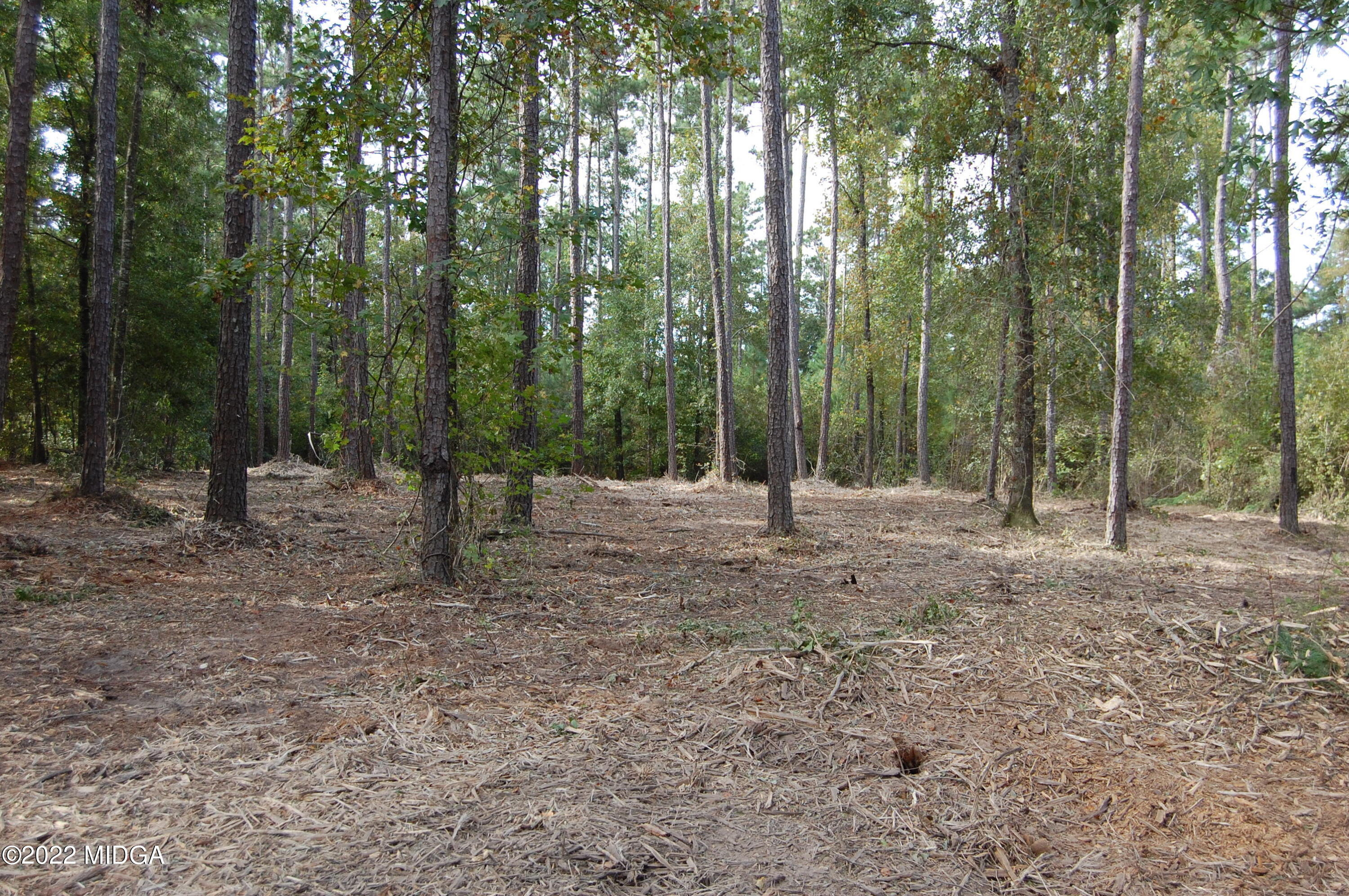 a view of outdoor space with trees