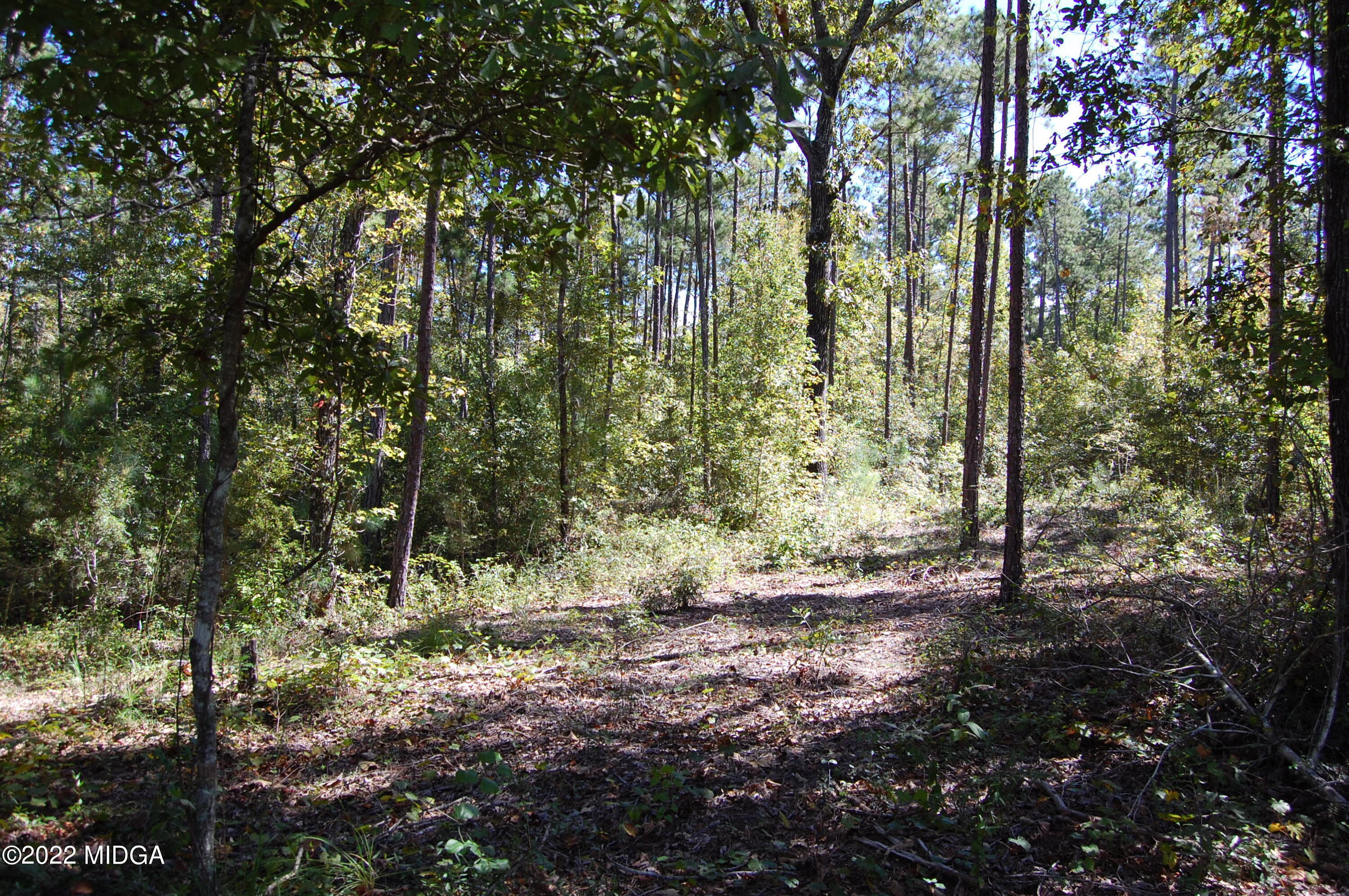3125 Hamlin Road Lizella, GA 31052 - Photo 12 of 26 a view of outdoor space and trees
