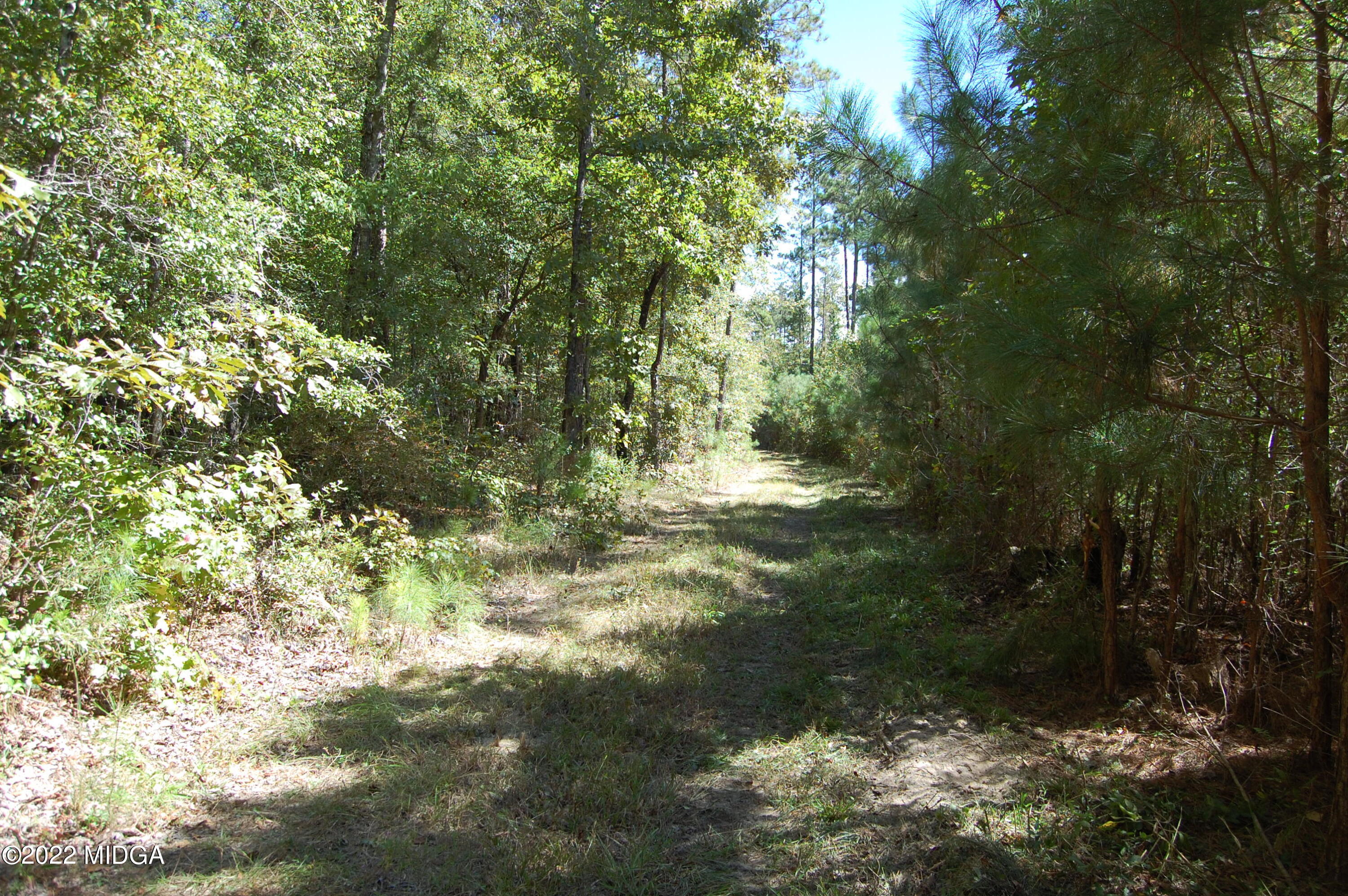 3125 Hamlin Road Lizella, GA 31052 - Photo 15 of 26 a view of outdoor space and green space