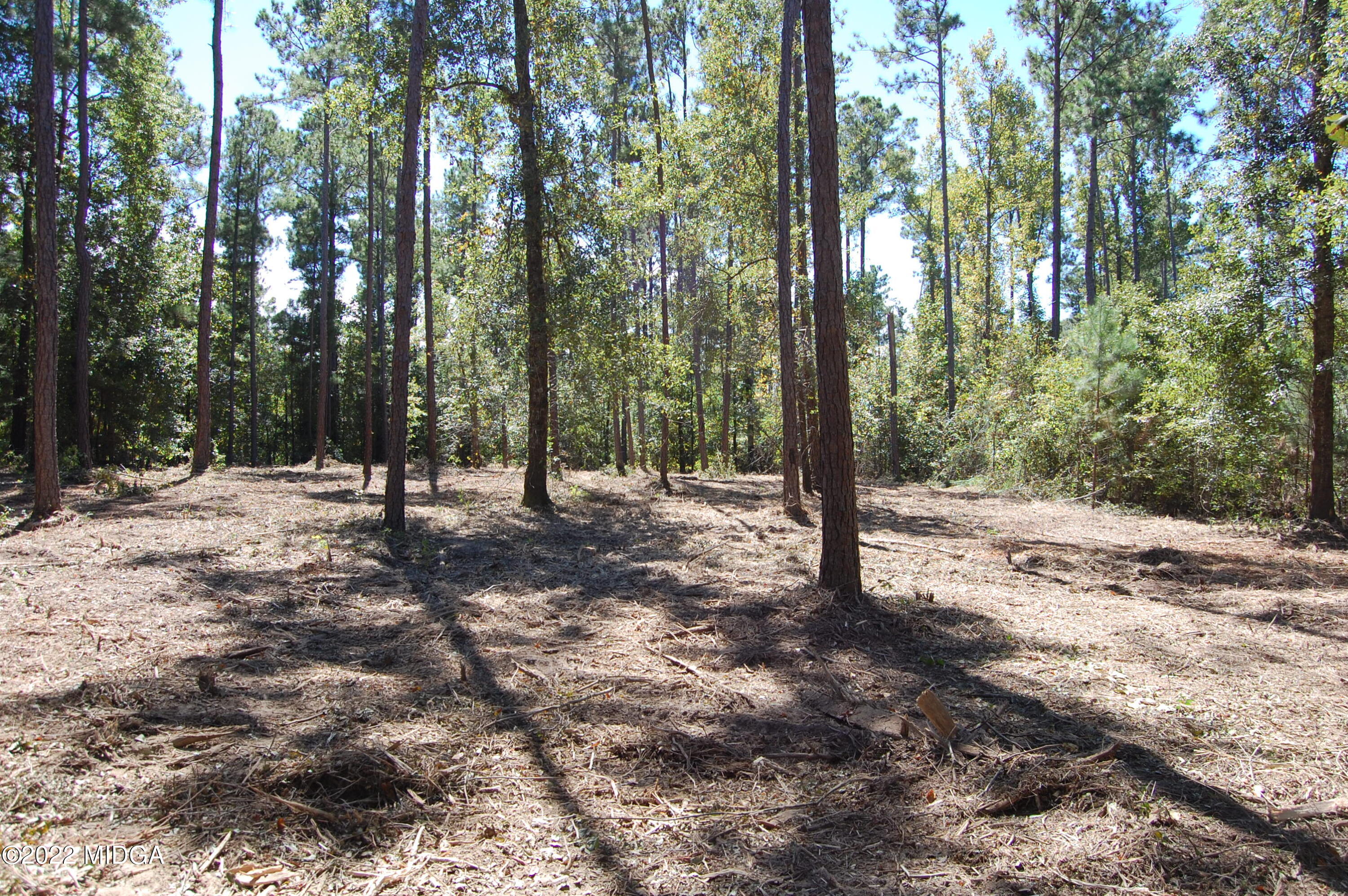 3125 Hamlin Road Lizella, GA 31052 - Photo 16 of 26 a view of outdoor space with trees