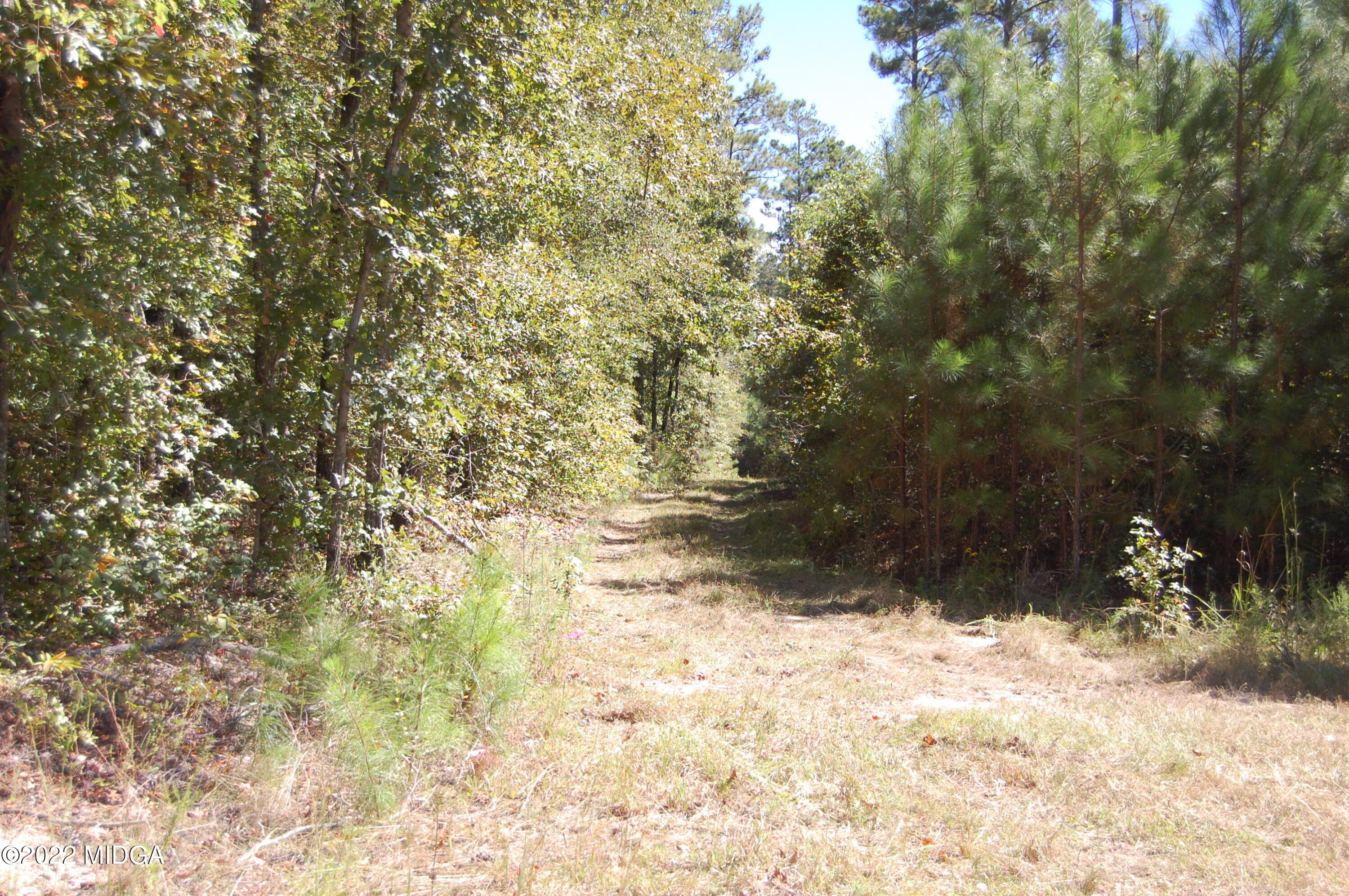3125 Hamlin Road Lizella, GA 31052 - Photo 17 of 26 a view of a yard covered with snow