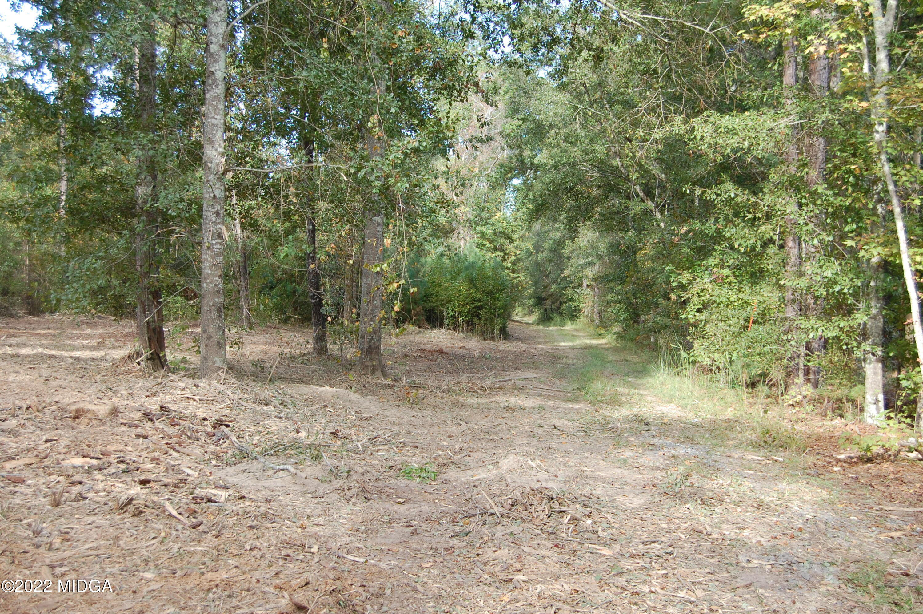 3125 Hamlin Road Lizella, GA 31052 - Photo 19 of 26 a view of a forest with trees