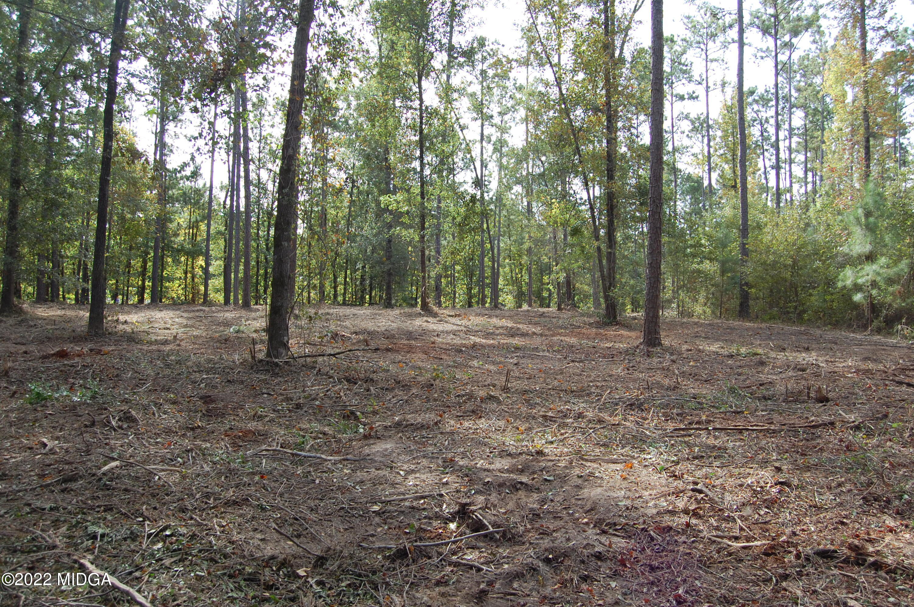 3125 Hamlin Road Lizella, GA 31052 - Photo 2 of 26 a view of backyard with trees