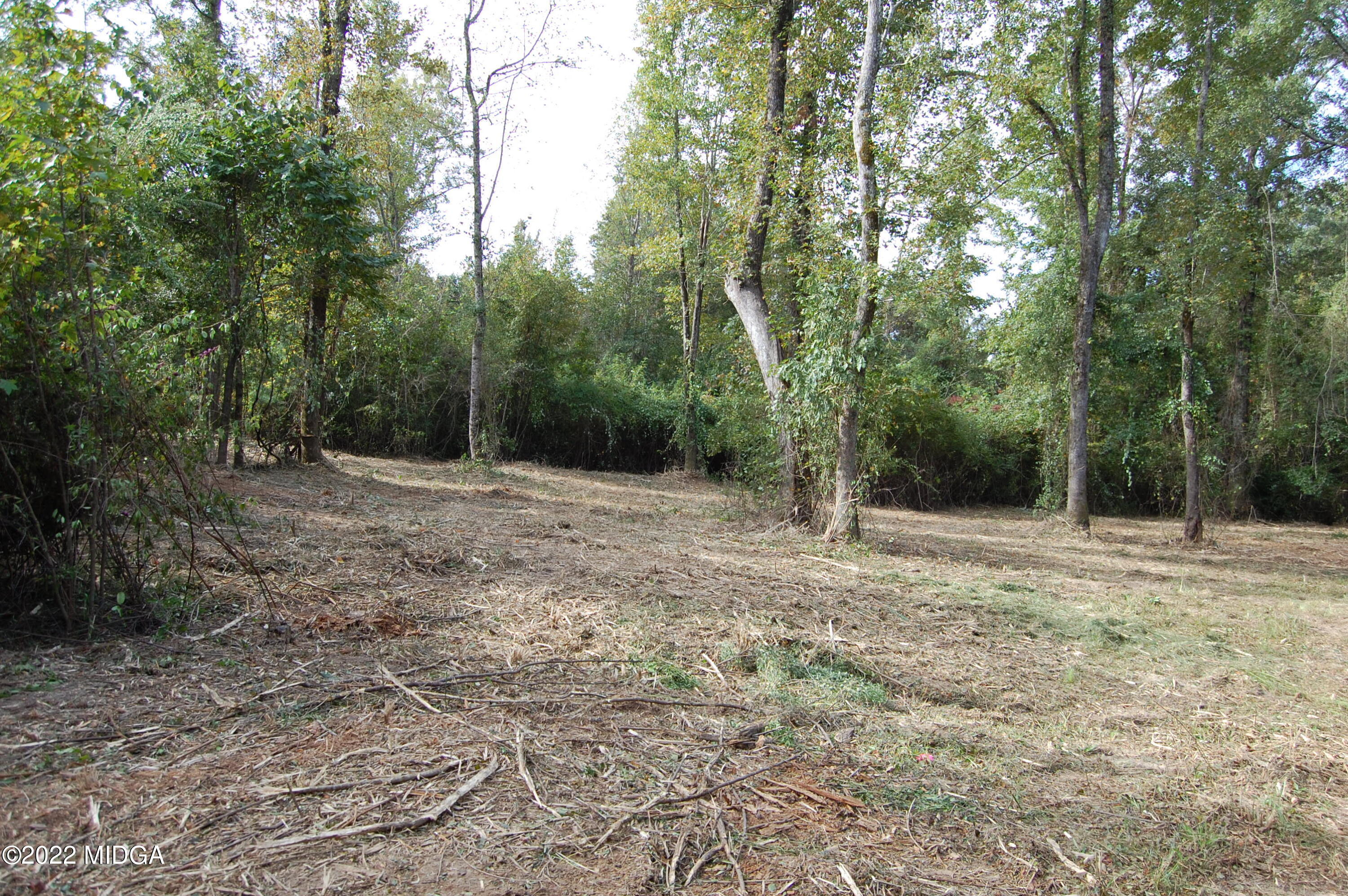 3125 Hamlin Road Lizella, GA 31052 - Photo 23 of 26 a view of outdoor space with trees