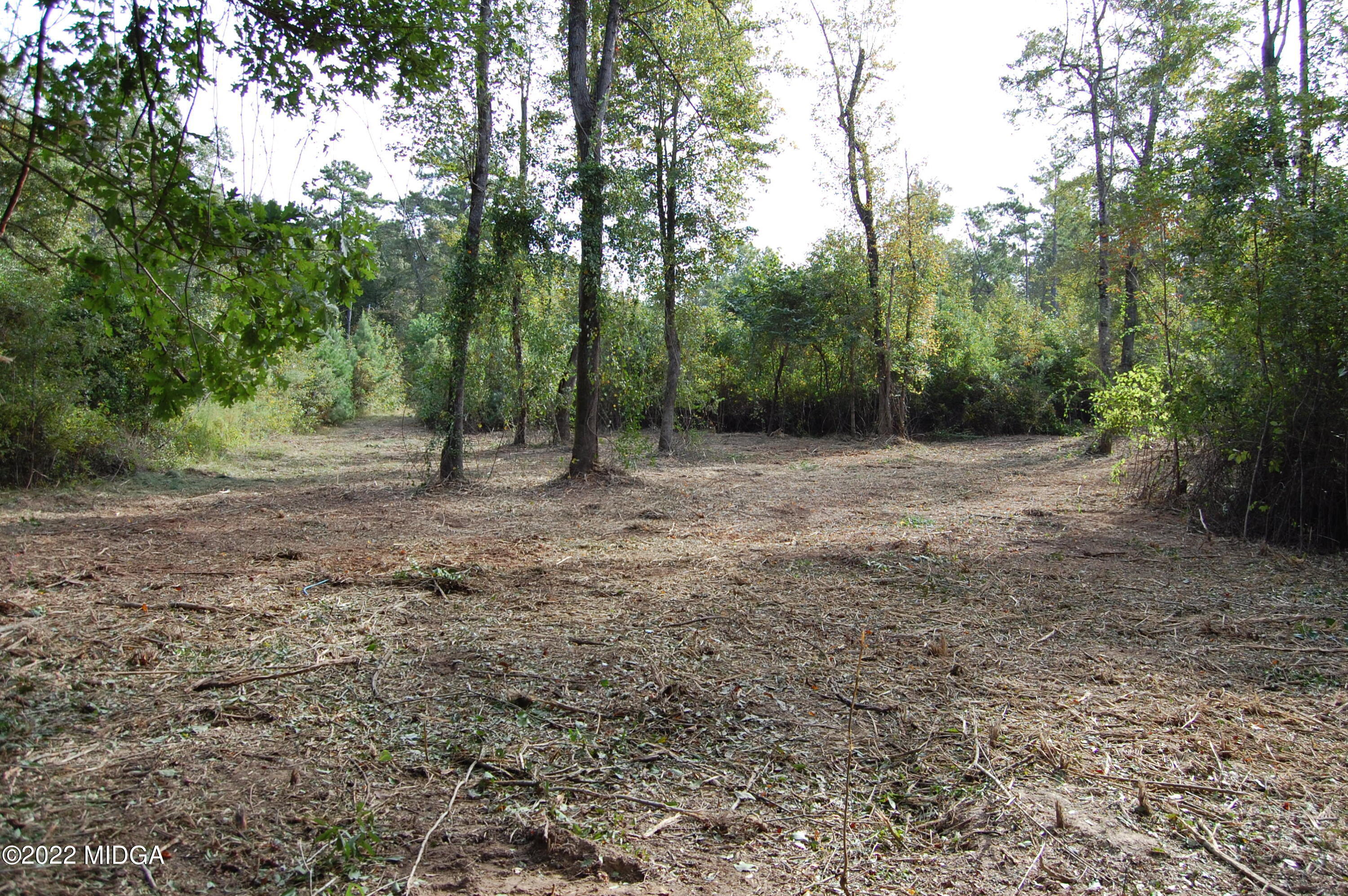 3125 Hamlin Road Lizella, GA 31052 - Photo 24 of 26 a view of a dirt road with trees in the background