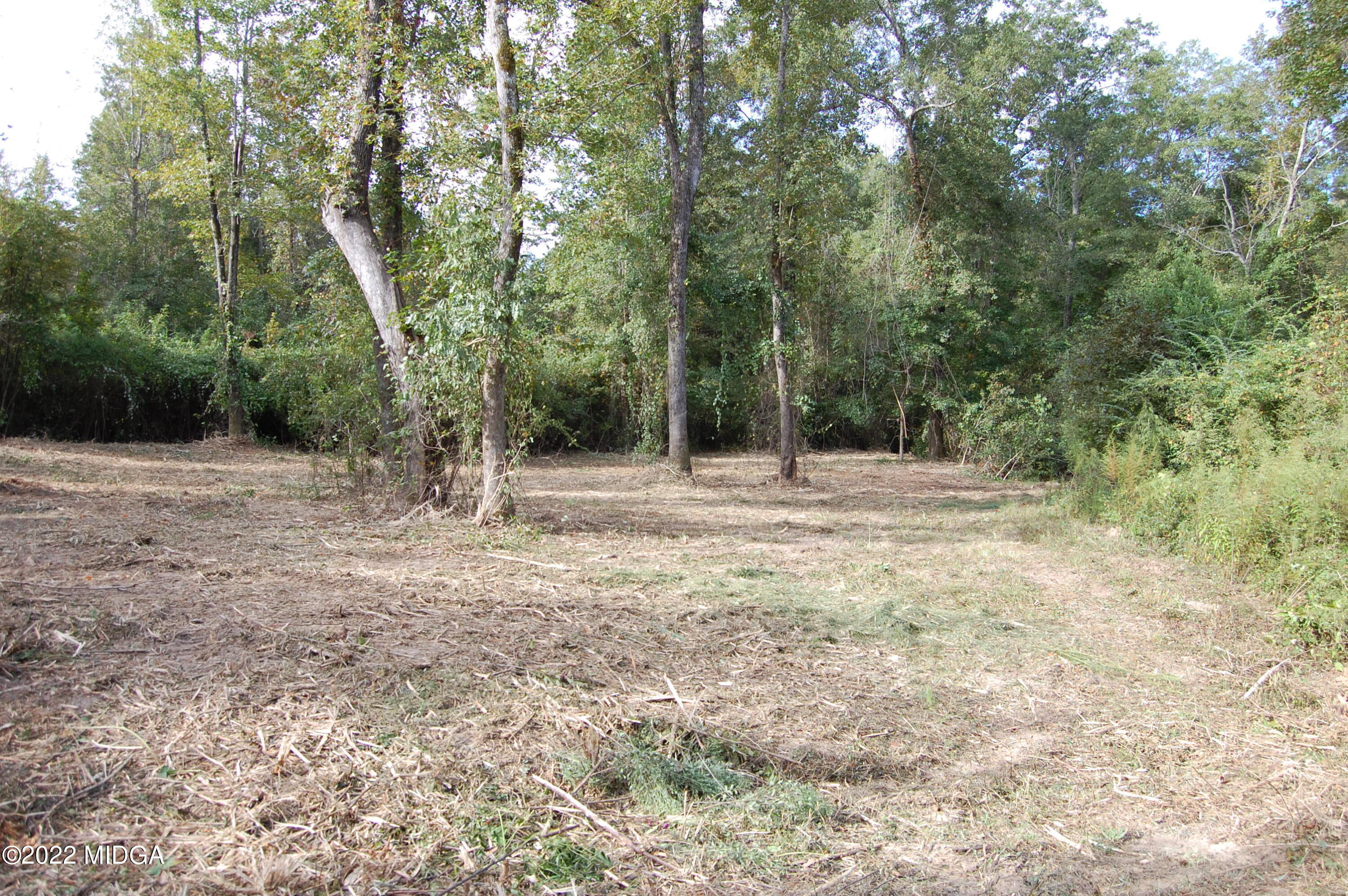 3125 Hamlin Road Lizella, GA 31052 - Photo 25 of 26 a view of outdoor space with trees