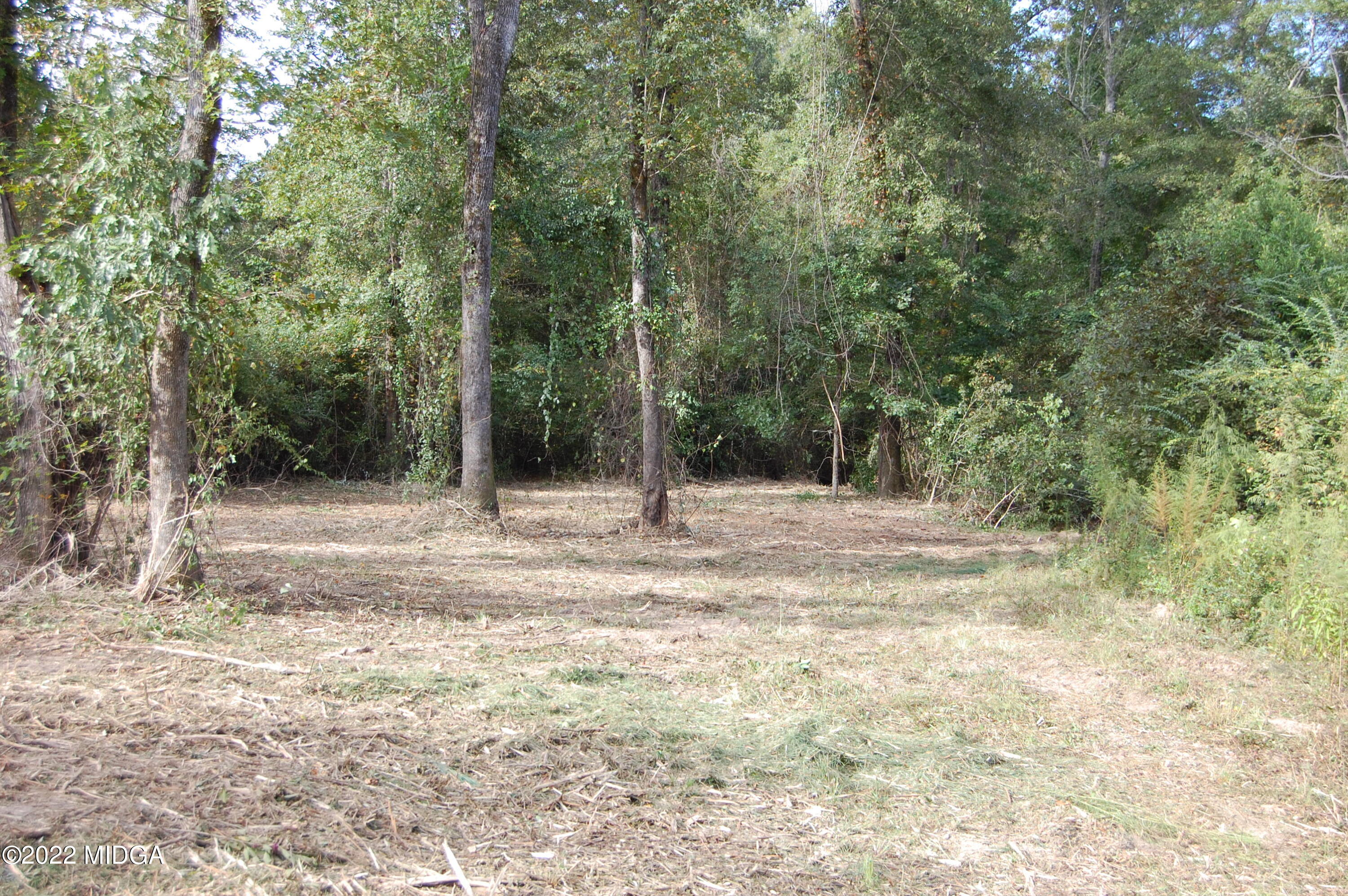 3125 Hamlin Road Lizella, GA 31052 - Photo 26 of 26 a view of a forest with trees