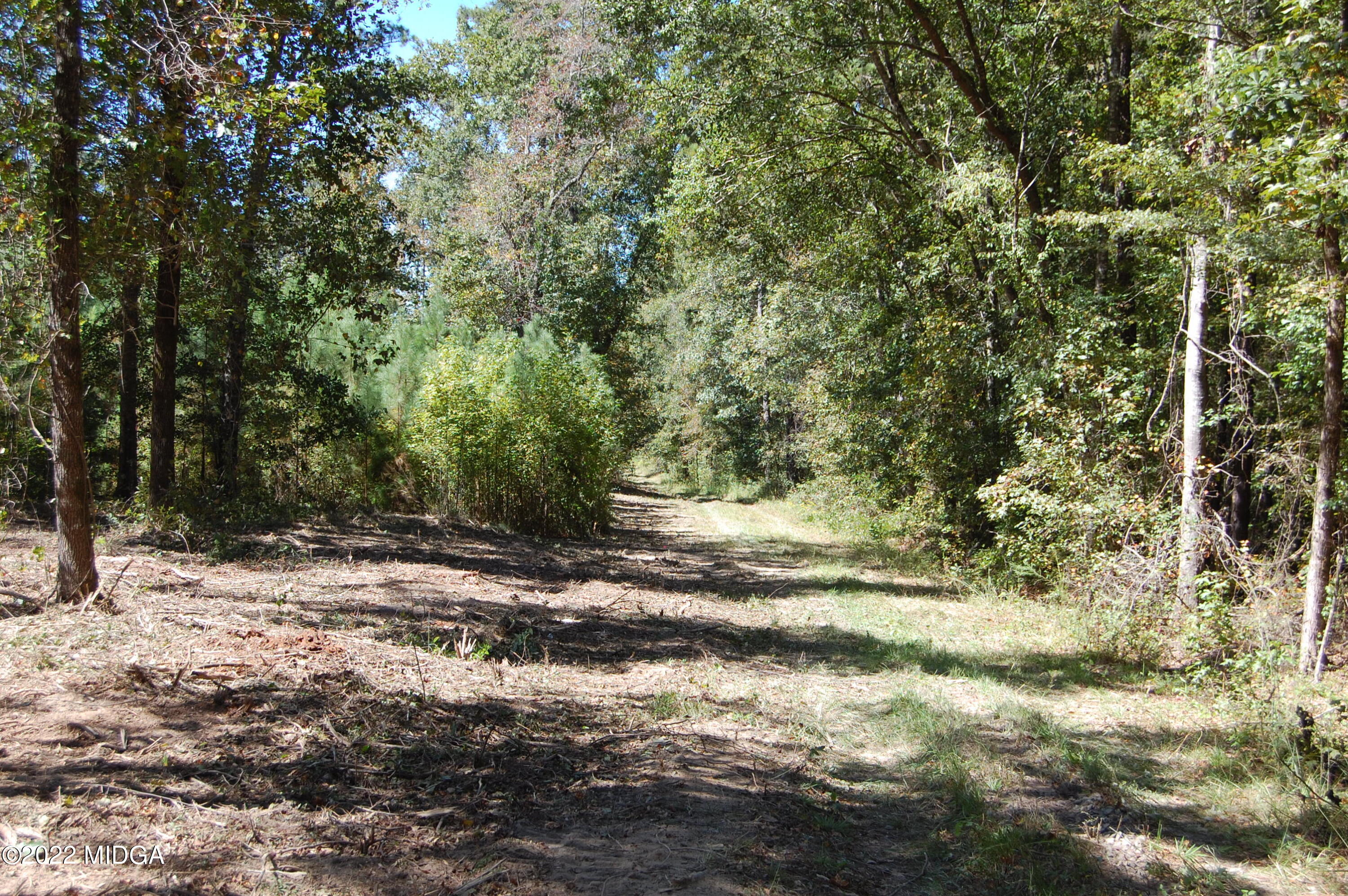 3125 Hamlin Road Lizella, GA 31052 - Photo 3 of 26 a view of a yard with plants and trees