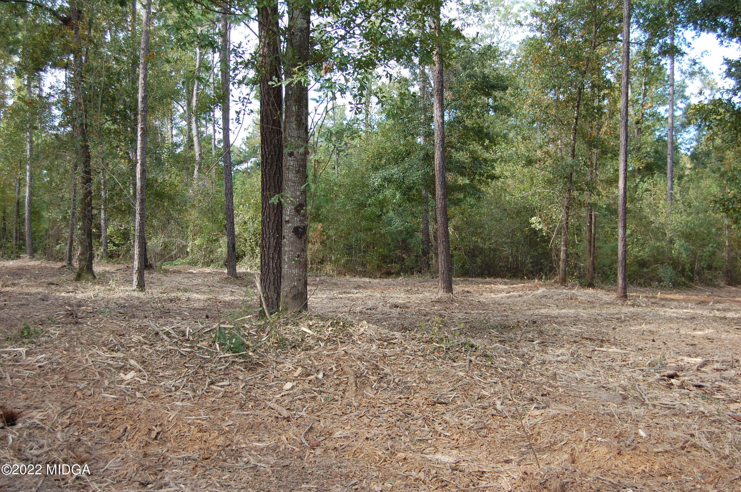 3125 Hamlin Road Lizella, GA 31052 - Photo 5 of 26 a view of a forest with trees in the background
