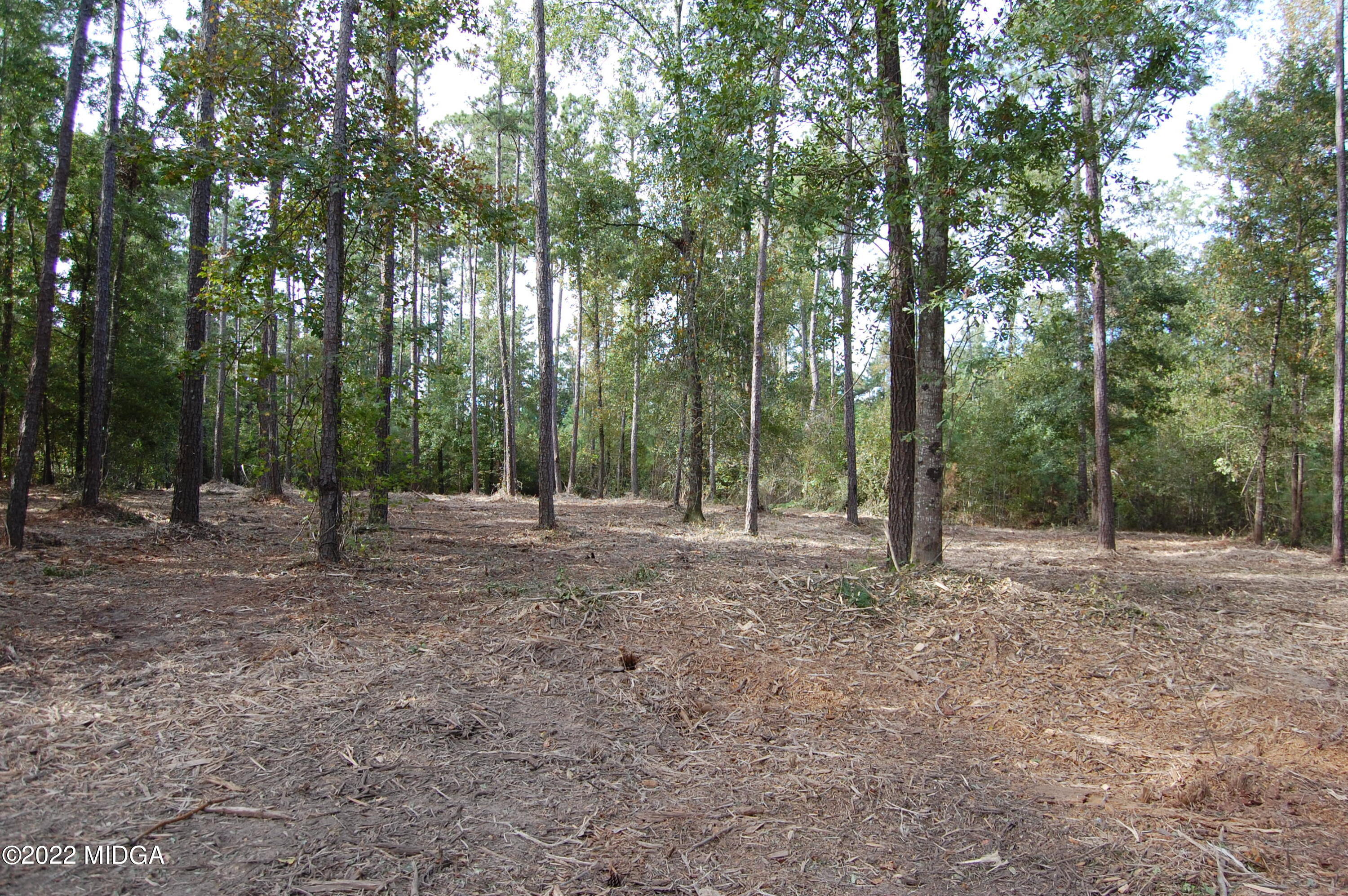 3125 Hamlin Road Lizella, GA 31052 - Photo 7 of 26 a view of outdoor space with trees