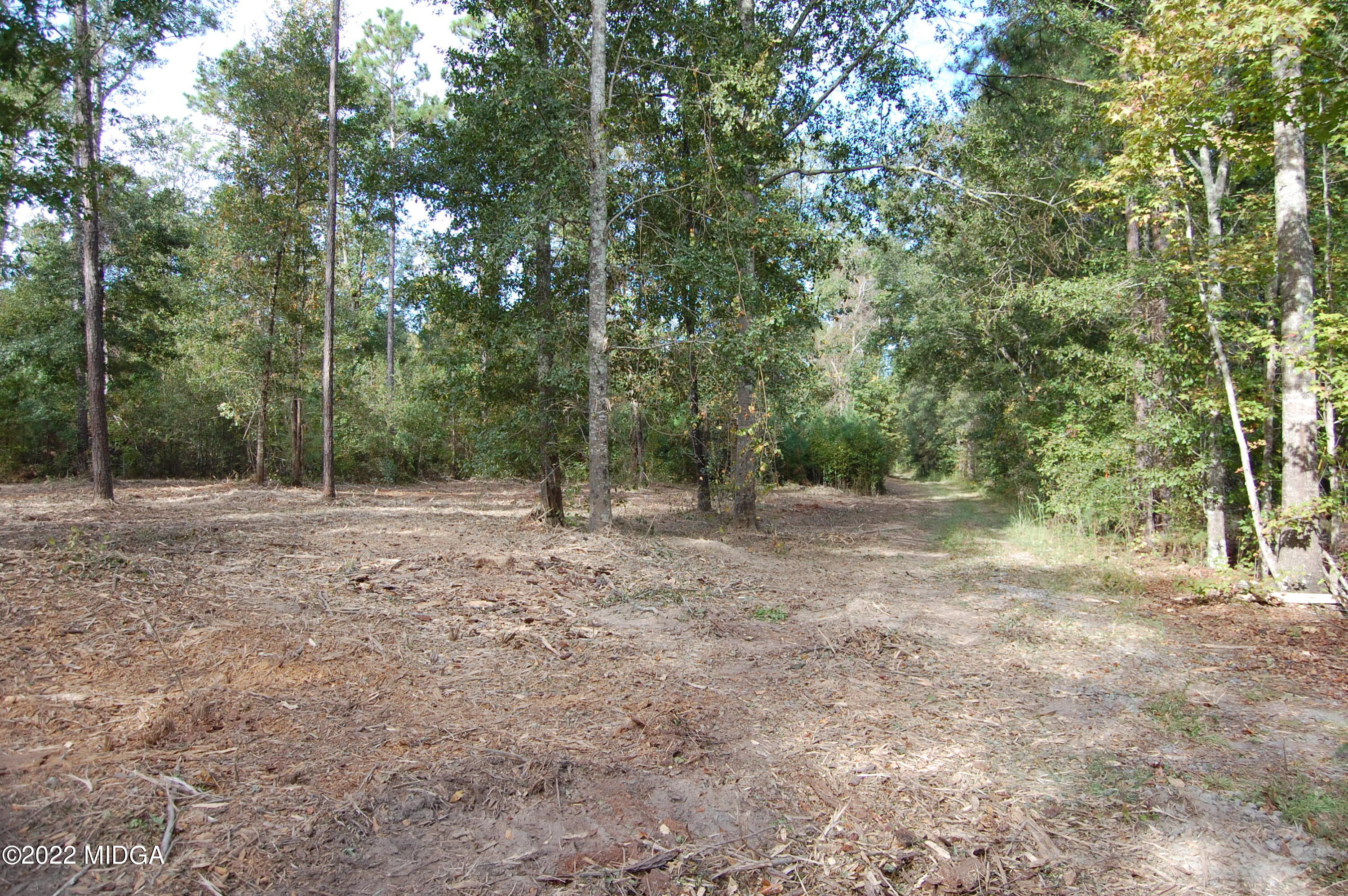 3125 Hamlin Road Lizella, GA 31052 - Photo 8 of 26 a view of a forest with trees in the background