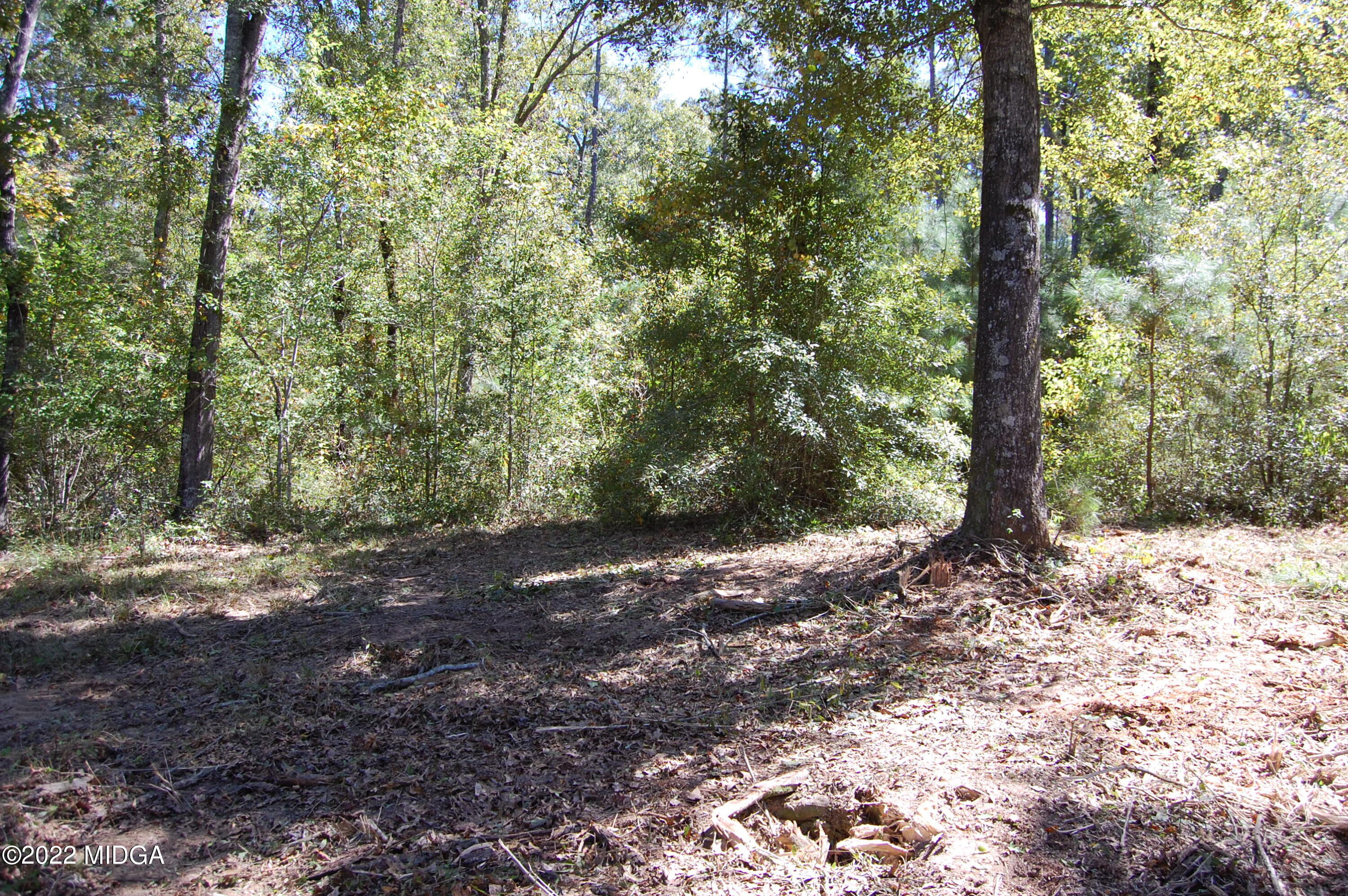 3125 Hamlin Road Lizella, GA 31052 - Photo 10 of 26 a view of a forest