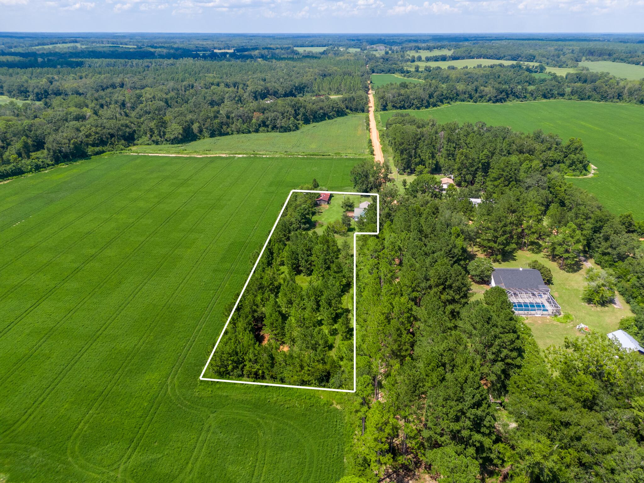 4135 Cliff Road Graceville, FL 32440 - Photo 31 of 40 a view of a lush green space