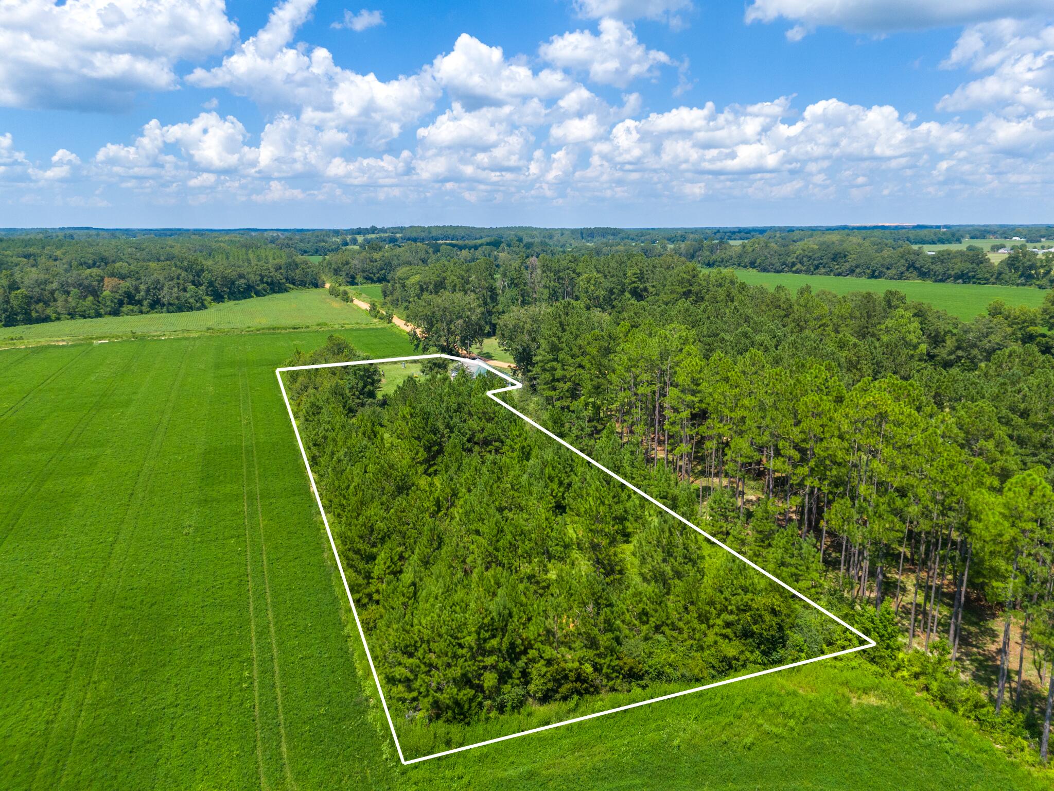 4135 Cliff Road Graceville, FL 32440 - Photo 35 of 40 a view of a tennis court