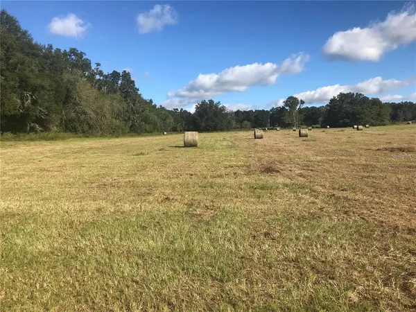 $300,000 | 32nd Court, Reddick, FL 32686