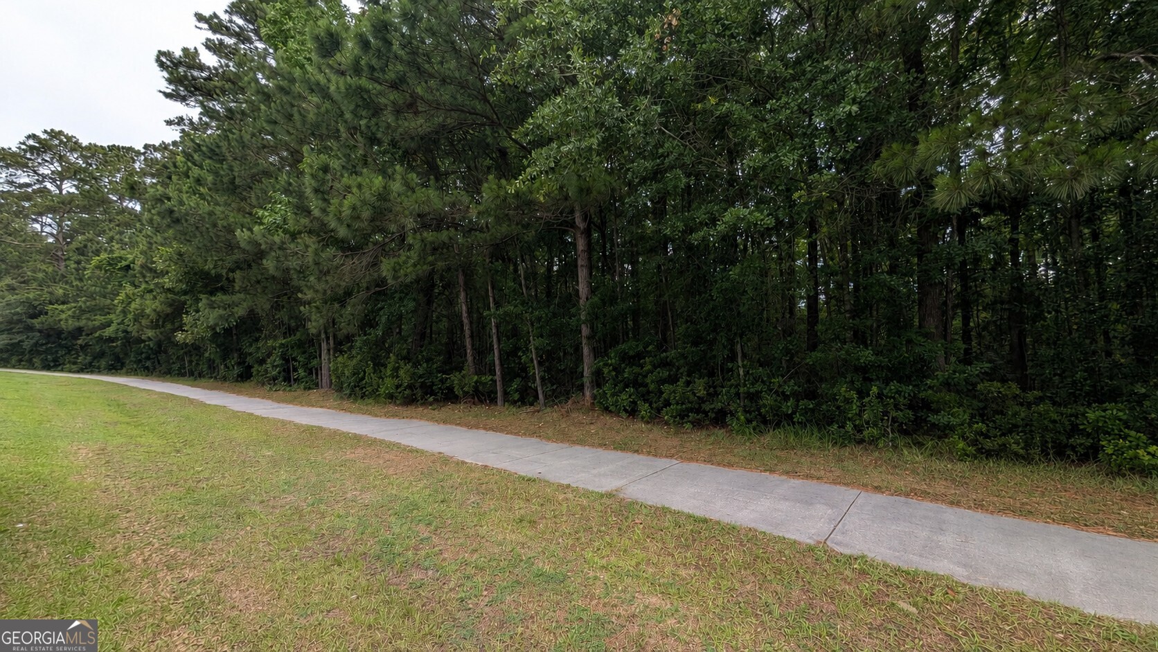 0 Harris Trail Road Richmond Hill, GA 31324 - Photo 2 of 4 a view of outdoor space