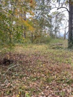 3122 Spring Place Road Southeast Cleveland, TN 37323 - Photo 8 of 14 IMG-7319