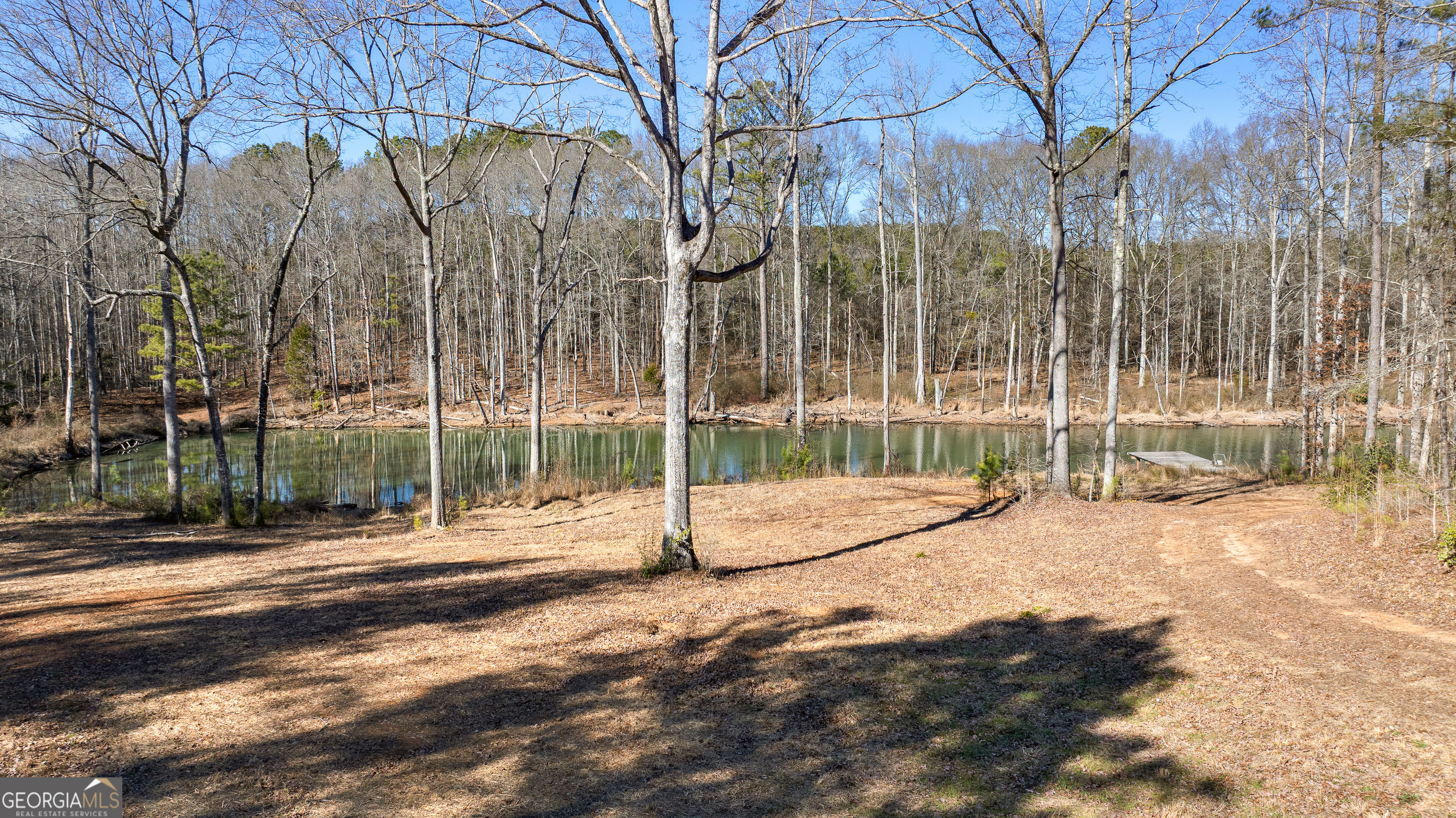 2170 Sewell Mill Road Newnan, GA 30263 - Photo 7 of 101