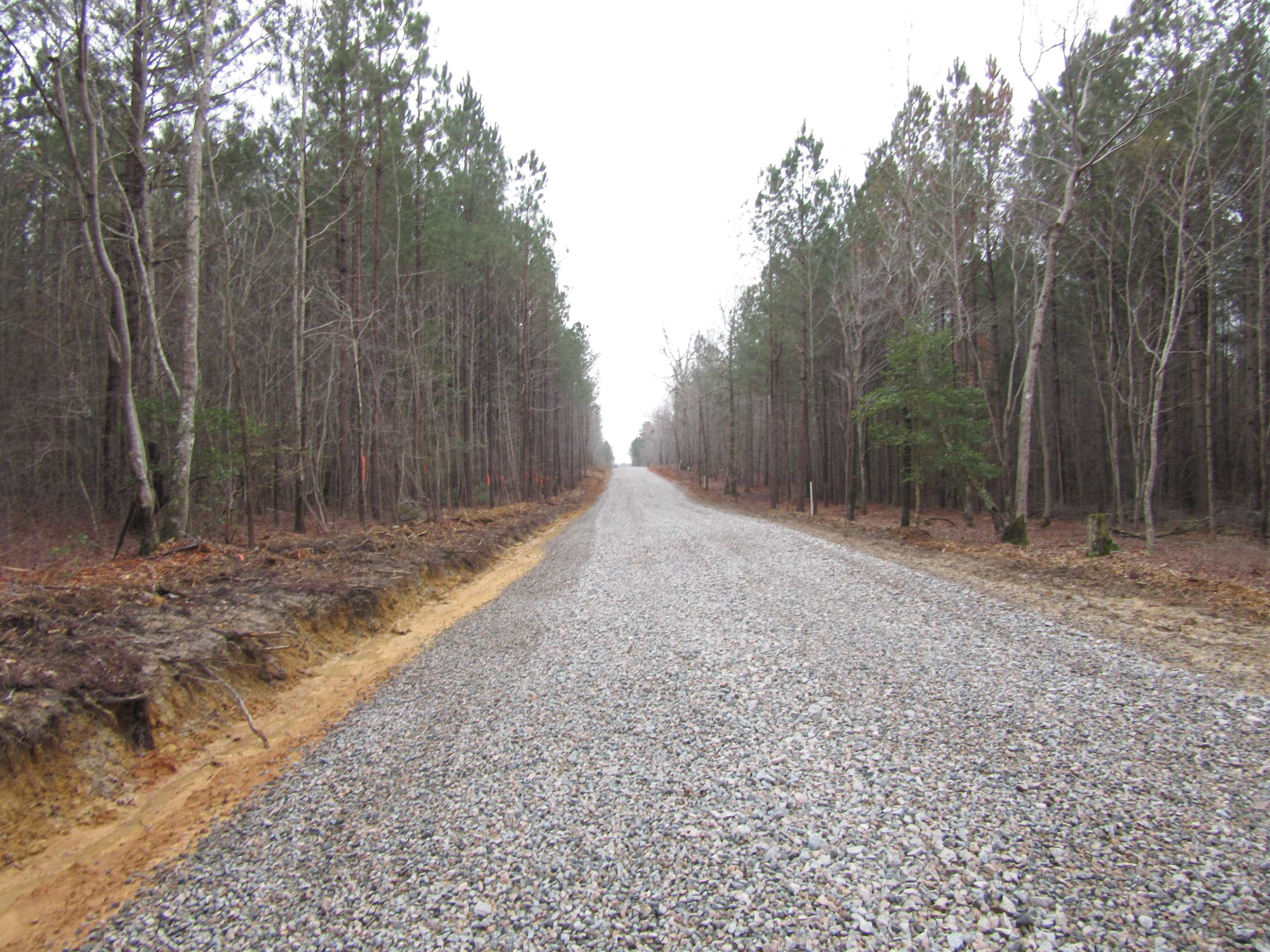 5 Nc 231 Hwy Spring Spring Hope, NC 27882 - Photo 2 of 4 Photo 2