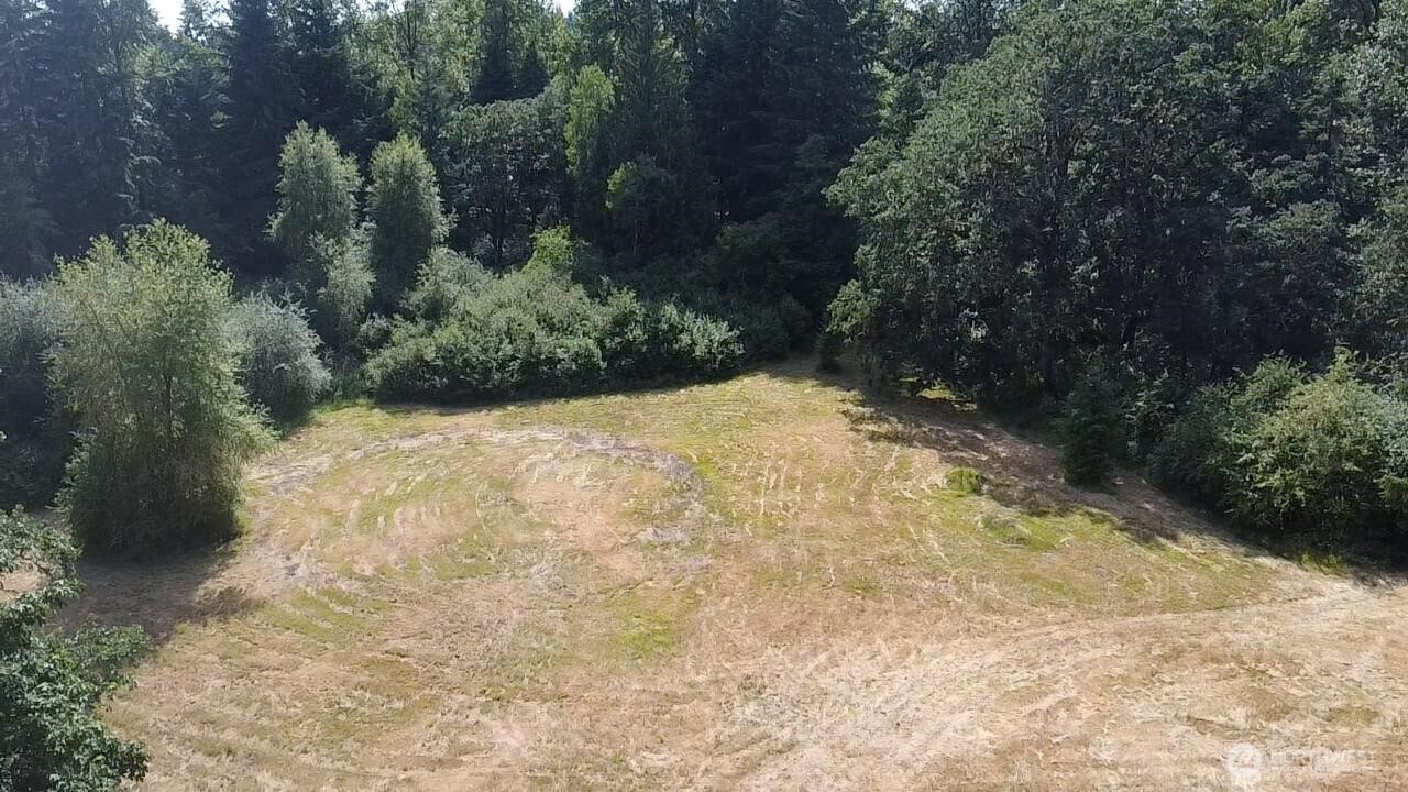 12515 Hubbard Road Southeast Rainier, WA 98576 - Photo 24 of 24 Gallery Image 24