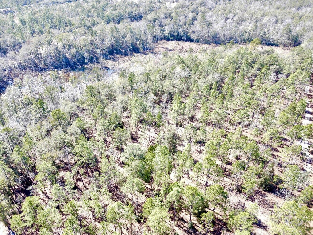 0 Dixon Road Bay Minette, AL 36507 - Photo 1 of 50