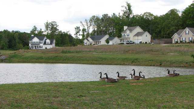 423 Shellstone Court Boiling Springs, SC 29316 - Photo 16 of 16 Gallery Image 16
