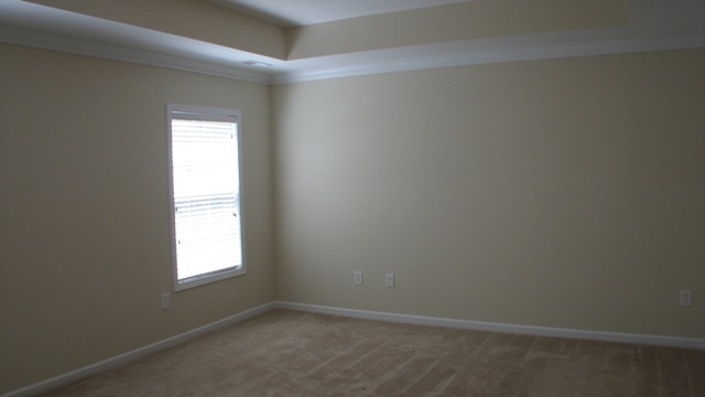 423 Shellstone Court Boiling Springs, SC 29316 - Photo 9 of 16 Gallery Image 9
