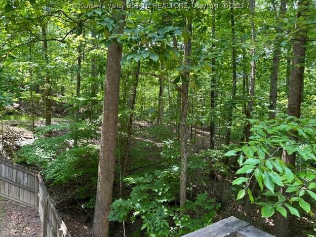 74 Chestnut Road Elkview, WV 25071 - Photo 46 of 50 Gallery Image 46