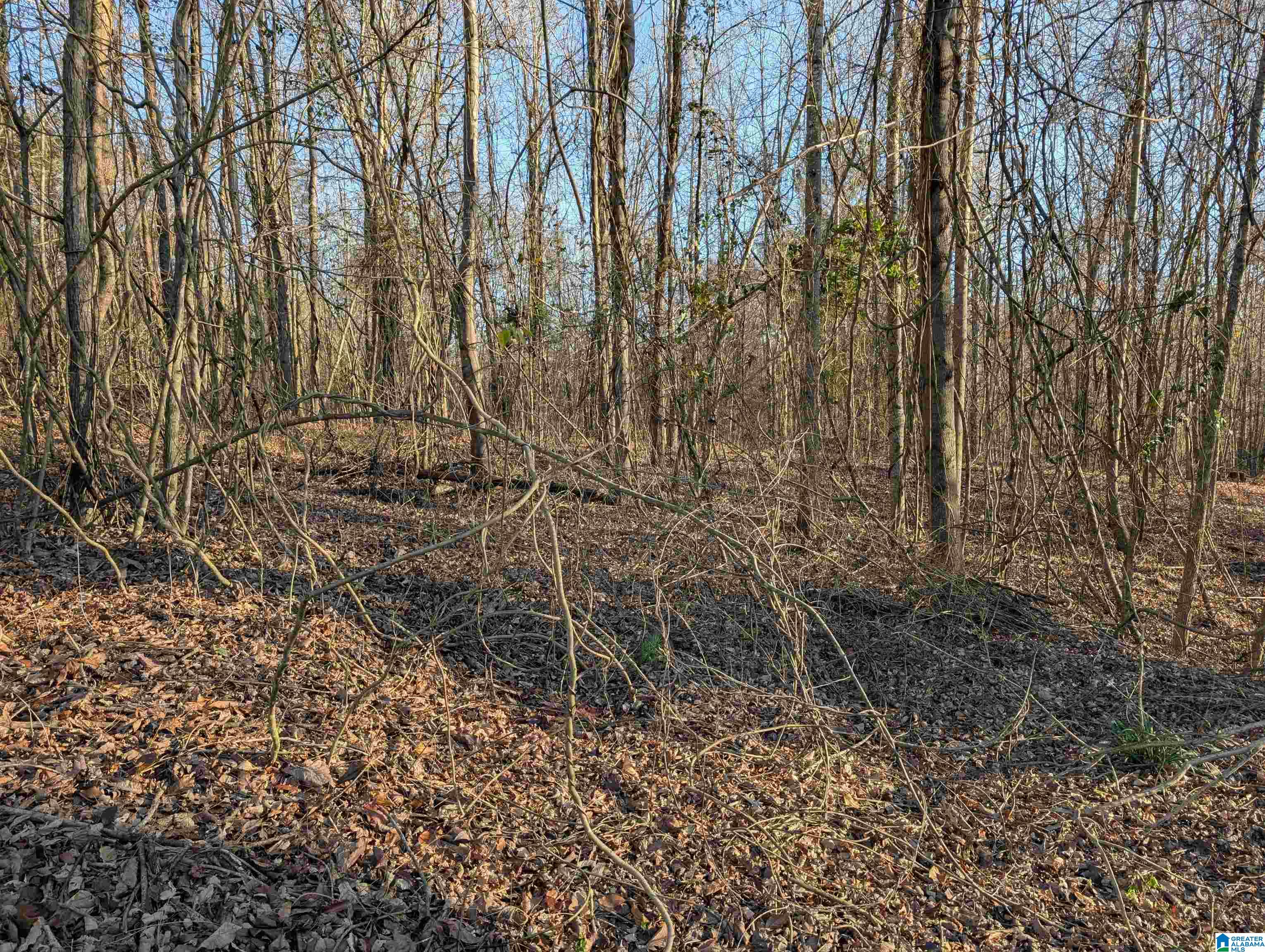 285 Warrior River Highland Road, Unit 2 Adger, AL 35006 - Photo 5 of 7