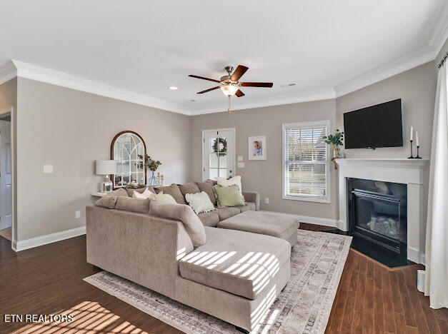 129 Hardinberry Street Oak Ridge, TN 37830 - Photo 16 of 47 IMG_0589