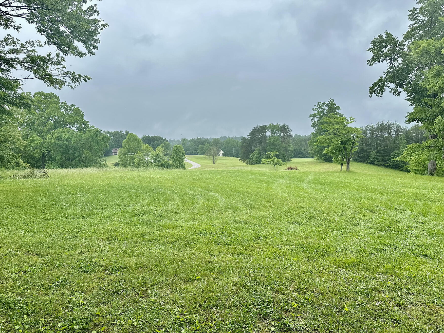 1702 Greenbriar Road Monticello, KY 42633 - Photo 31 of 45 IMG_8499