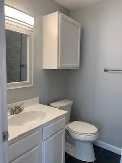 a bathroom with a sink and a toilet