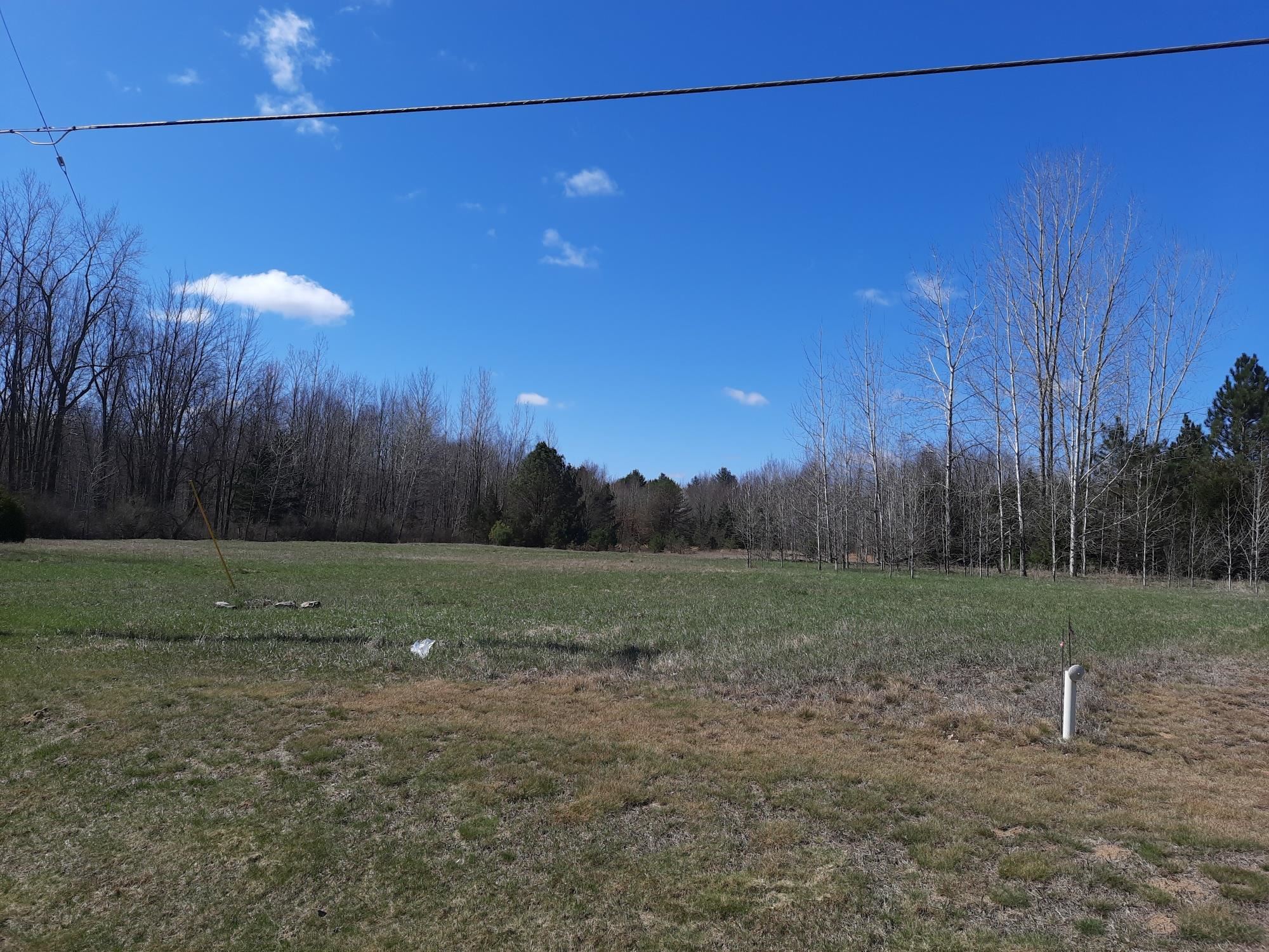 State Road Vassar, MI 48768 - Photo 2 of 7