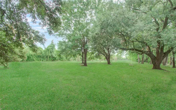 a view of backyard with large trees