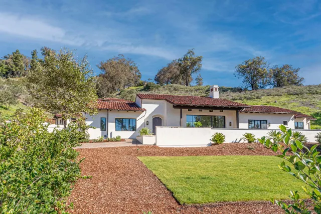 a view of a potted plants on a sidewalk
