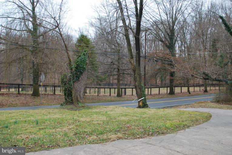 334 Old Joppa Road Fallston, MD 21047 - Photo 4 of 20 a park view with tall trees