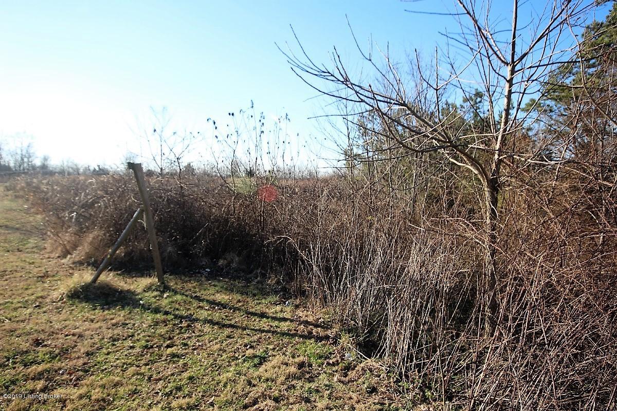 650 Mcstoots Road Caneyville, KY 42721 - Photo 22 of 24 650 McStoots Rd 39