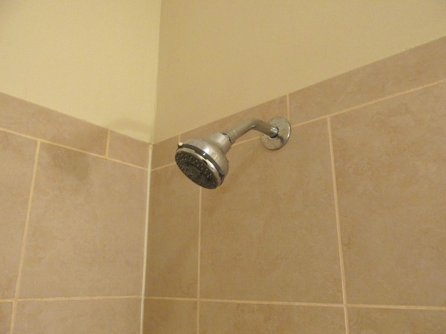 4246 North Spaulding Avenue, Unit 2B Chicago, IL 60618 - Photo 11 of 25