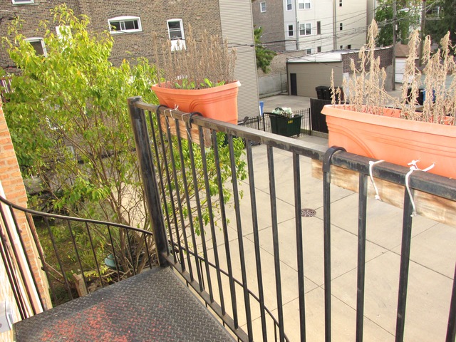 4246 North Spaulding Avenue, Unit 2B Chicago, IL 60618 - Photo 21 of 25