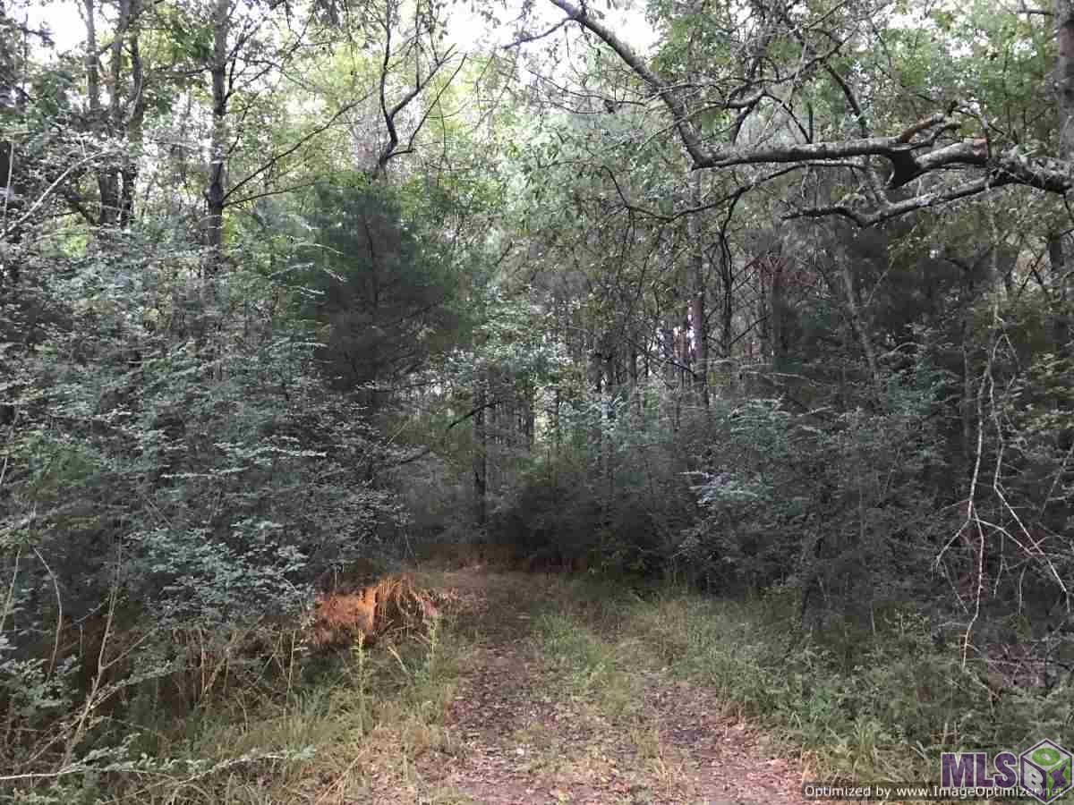 2141 Midway Road Wesson, MS 39191 - Photo 11 of 23