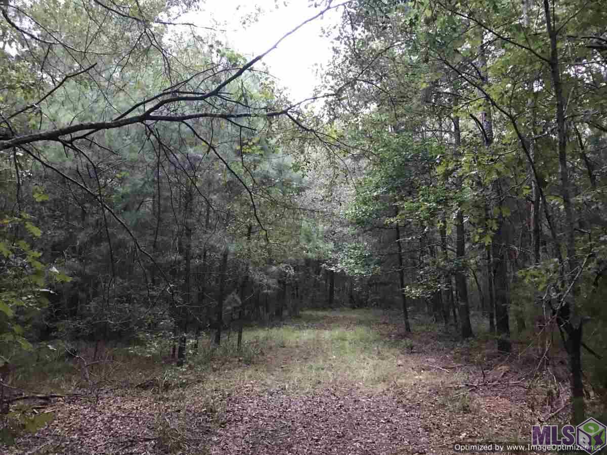 2141 Midway Road Wesson, MS 39191 - Photo 12 of 23