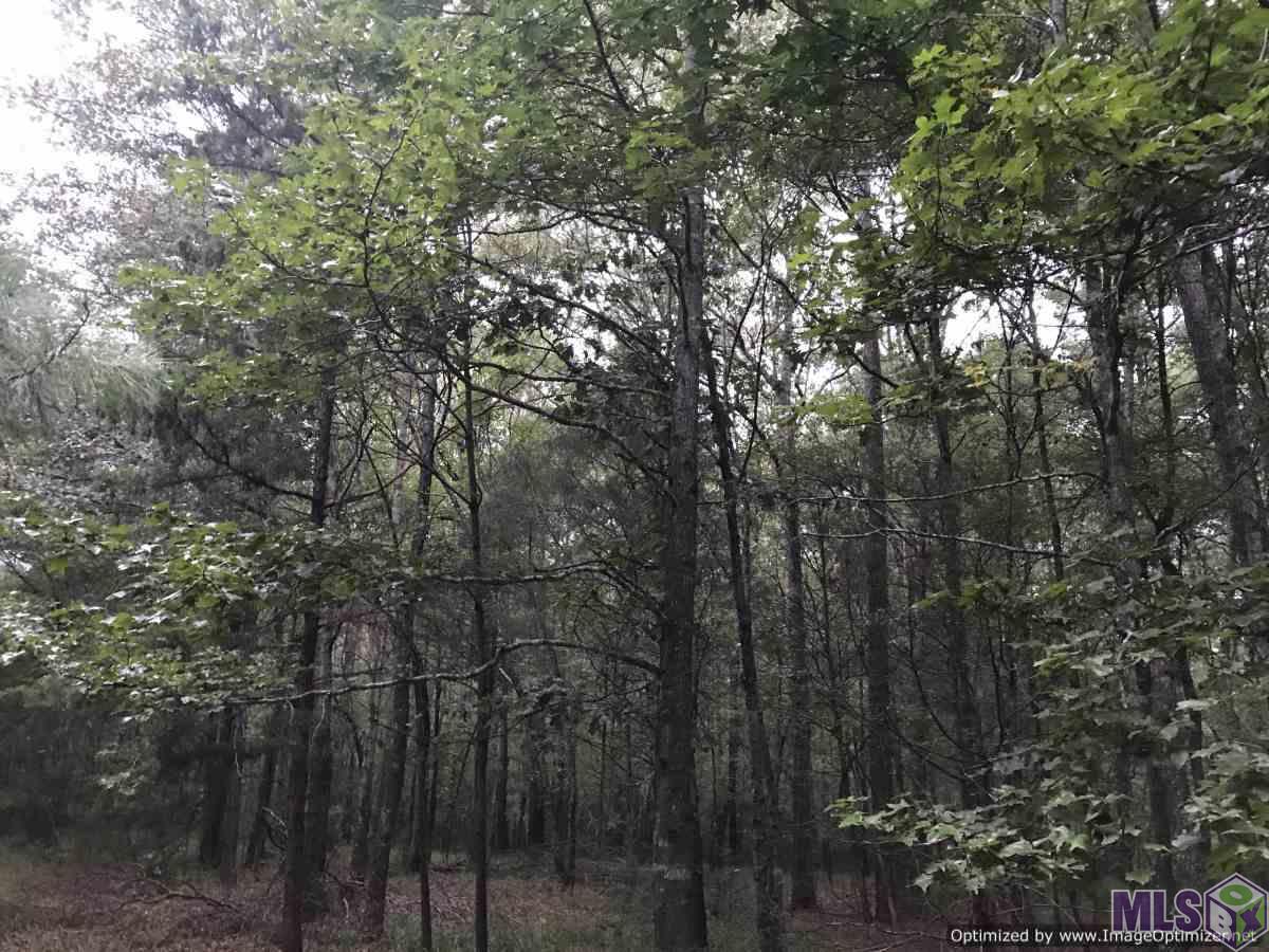 2141 Midway Road Wesson, MS 39191 - Photo 13 of 23