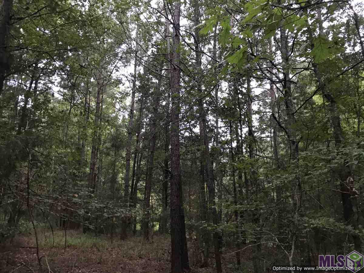 2141 Midway Road Wesson, MS 39191 - Photo 14 of 23