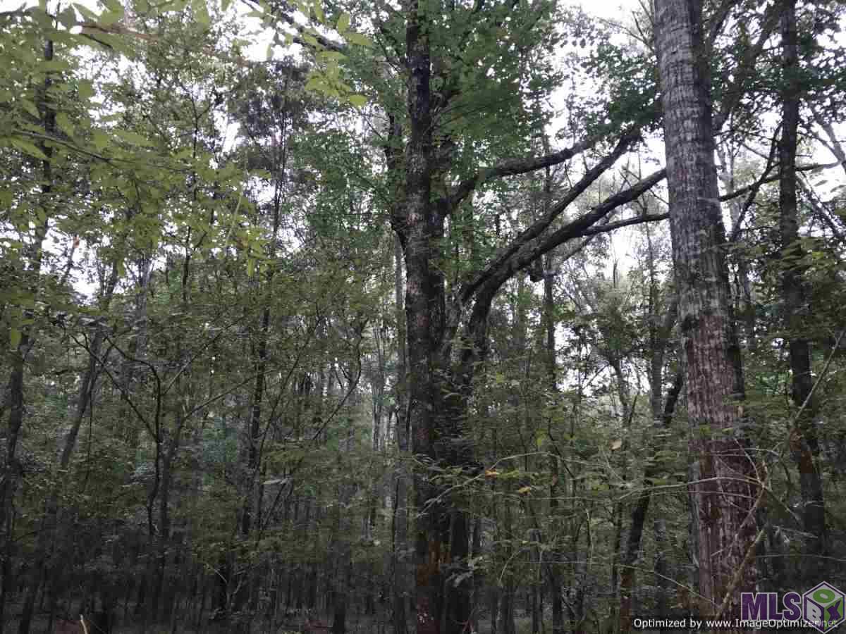 2141 Midway Road Wesson, MS 39191 - Photo 16 of 23