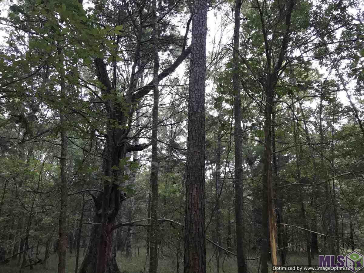 2141 Midway Road Wesson, MS 39191 - Photo 17 of 23