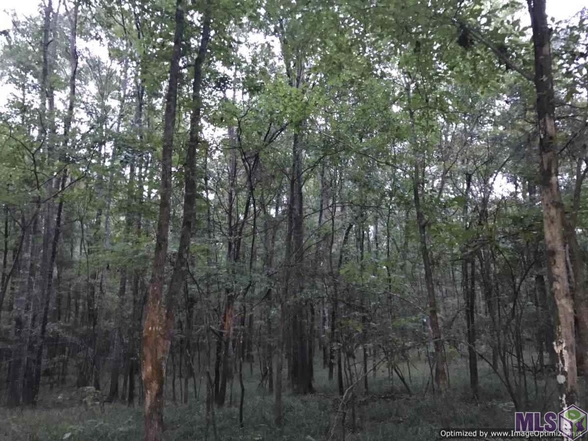 2141 Midway Road Wesson, MS 39191 - Photo 18 of 23