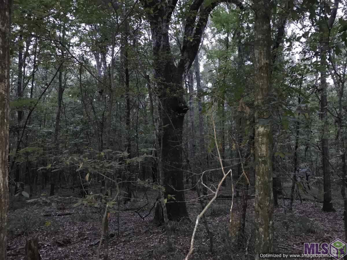 2141 Midway Road Wesson, MS 39191 - Photo 20 of 23
