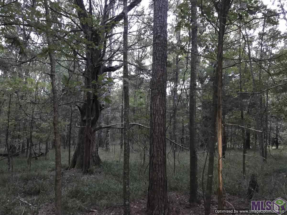 2141 Midway Road Wesson, MS 39191 - Photo 23 of 23