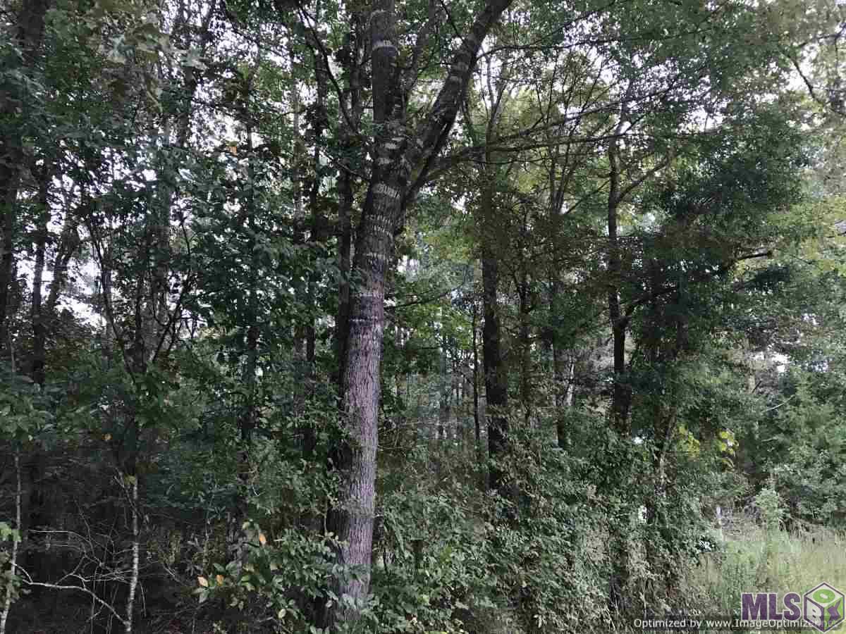 2141 Midway Road Wesson, MS 39191 - Photo 6 of 23