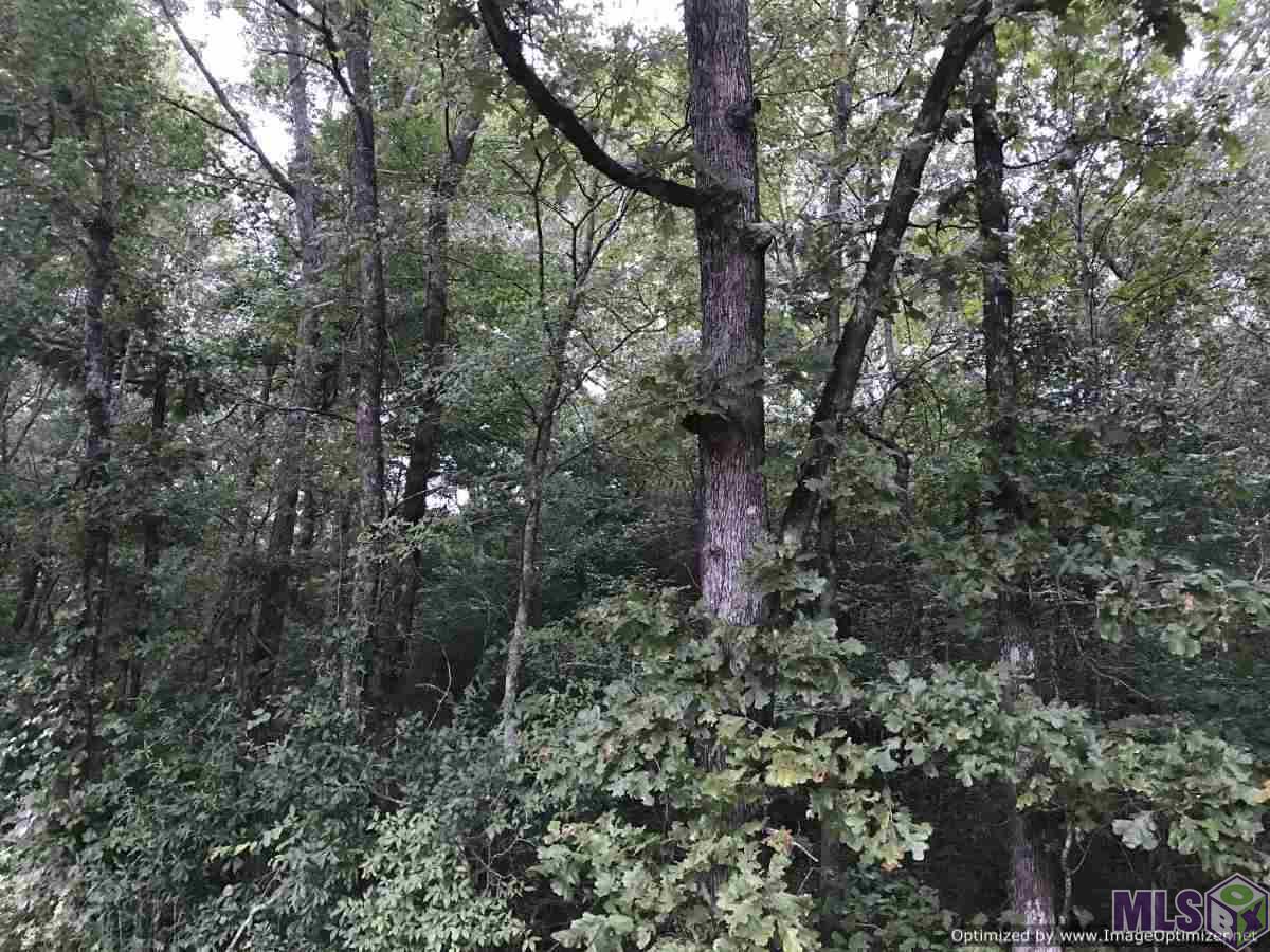 2141 Midway Road Wesson, MS 39191 - Photo 7 of 23